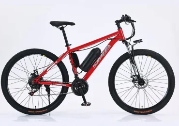 Simba-E-Bicycle
